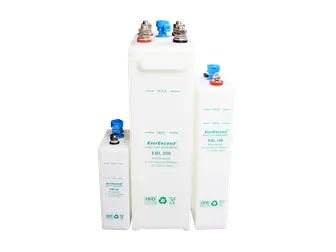 Аккумуляторы EverExceed EBL