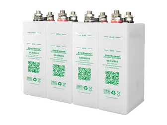 Аккумуляторы EverExceed SEBM